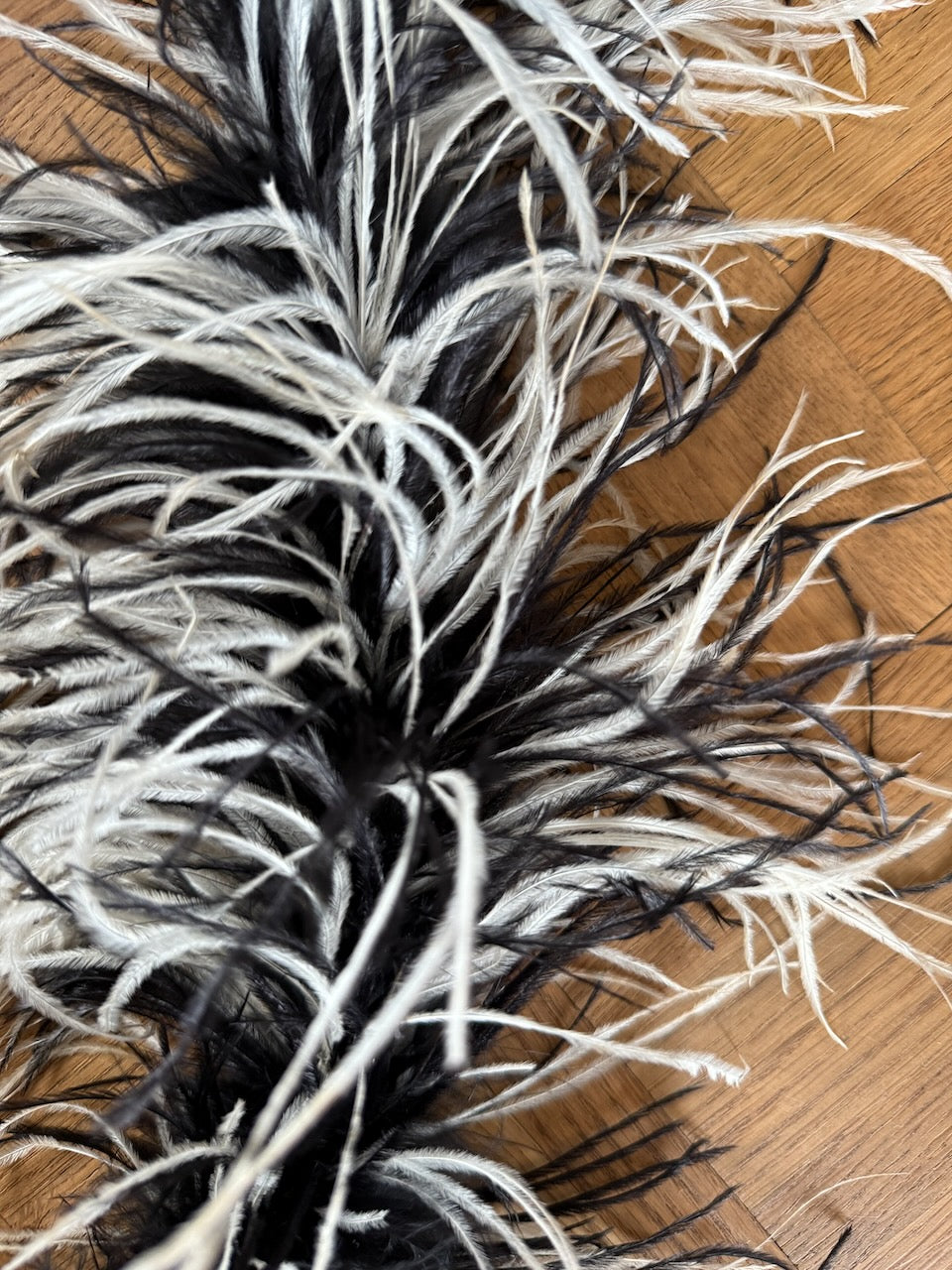 Black & white ostrich feather boa Palace of Nowhere