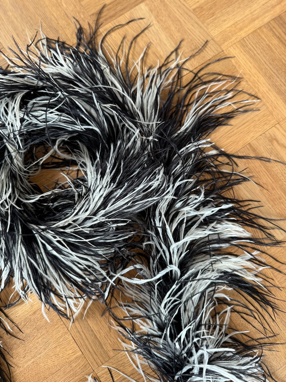 Black & white ostrich feather boa Palace of Nowhere