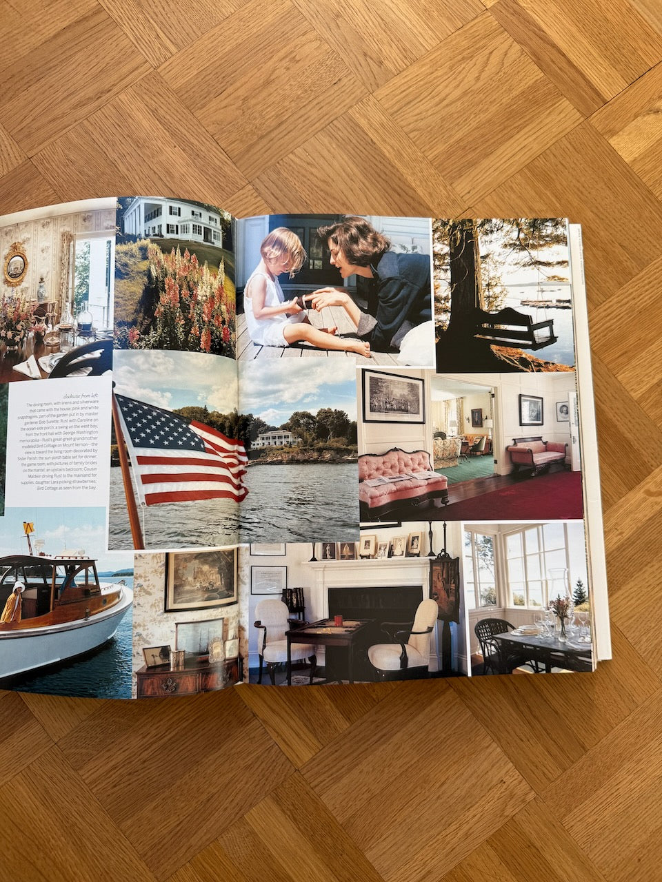 Vintage Vogue Living: Houses, Gardens, People book Palace of Nowhere